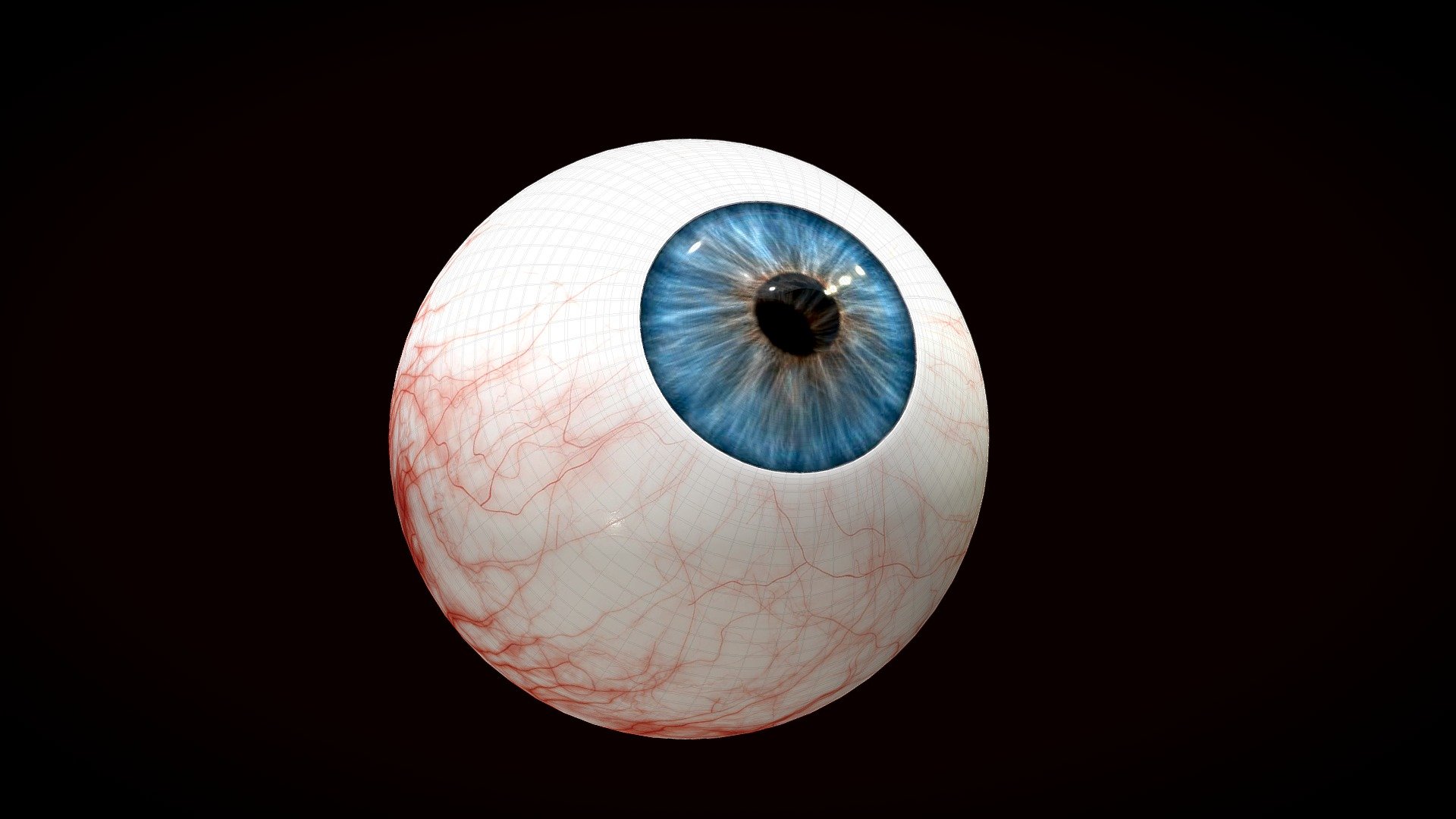 Human eye - 3D model by INYOUNG (@seo.i.y96) [f7687e0] - Sketchfab