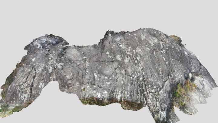 Migmatite, Connemara 3D Model