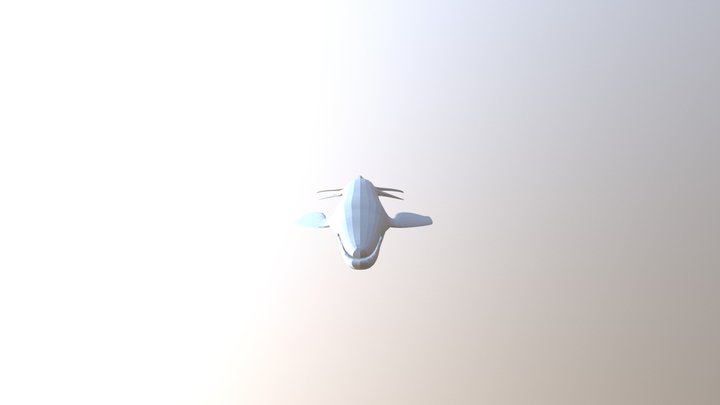 Whale 3D Model