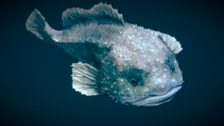 Smooth-head Blobfish 3D Model