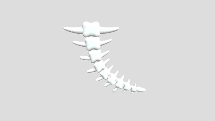 Skeleton Paw 3D Model