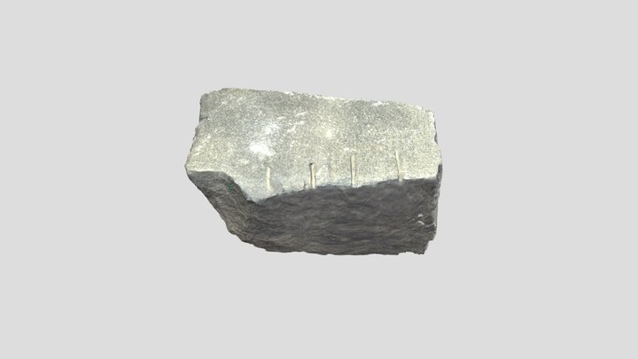 SX-S1 3D Model