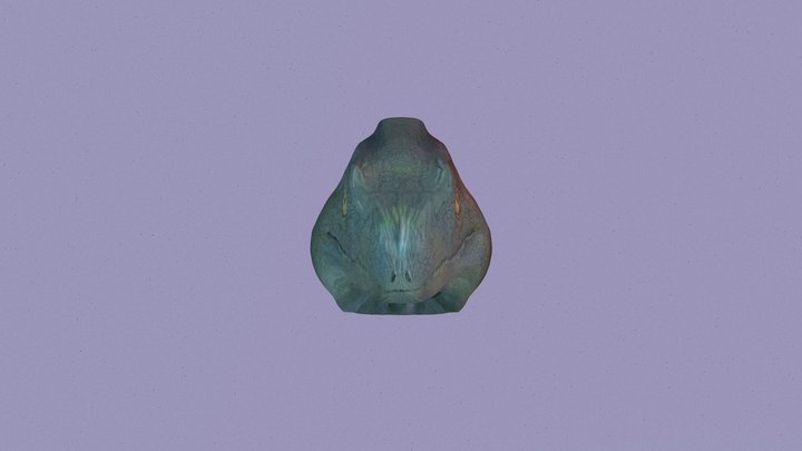 Iguana Head 3D Model