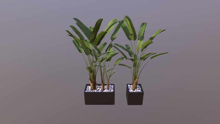 Plants-137 3D Model