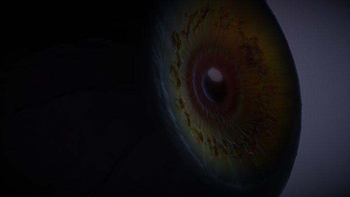 Oeil 3D Model