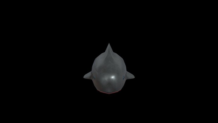 shark_lp_final 3D Model