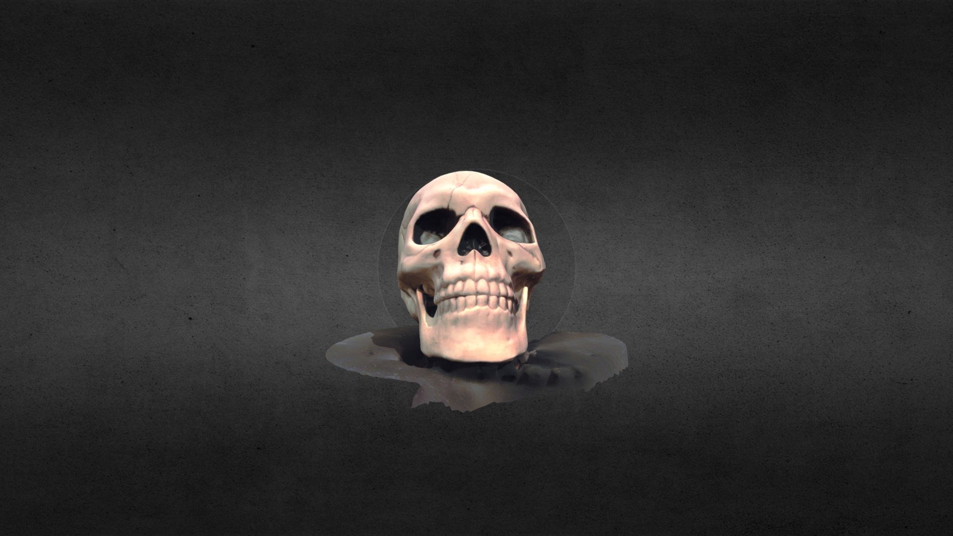 A plastic Halloween skull