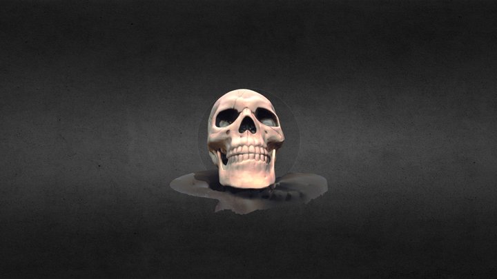 A plastic Halloween skull 3D Model
