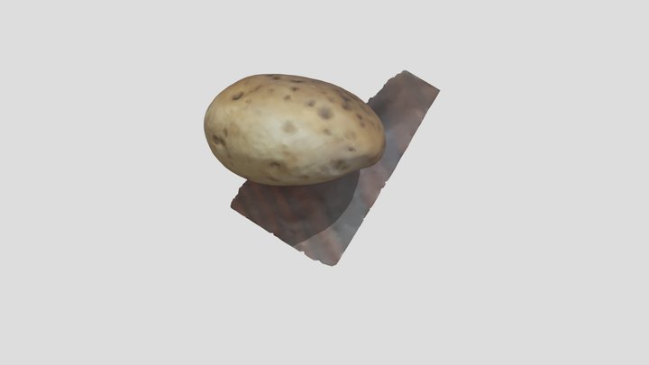Potato Rock 3D Model