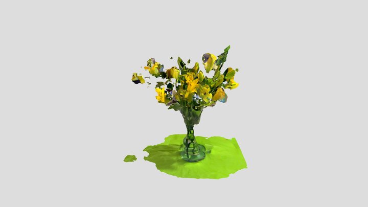 Yellow cheer 3D Model