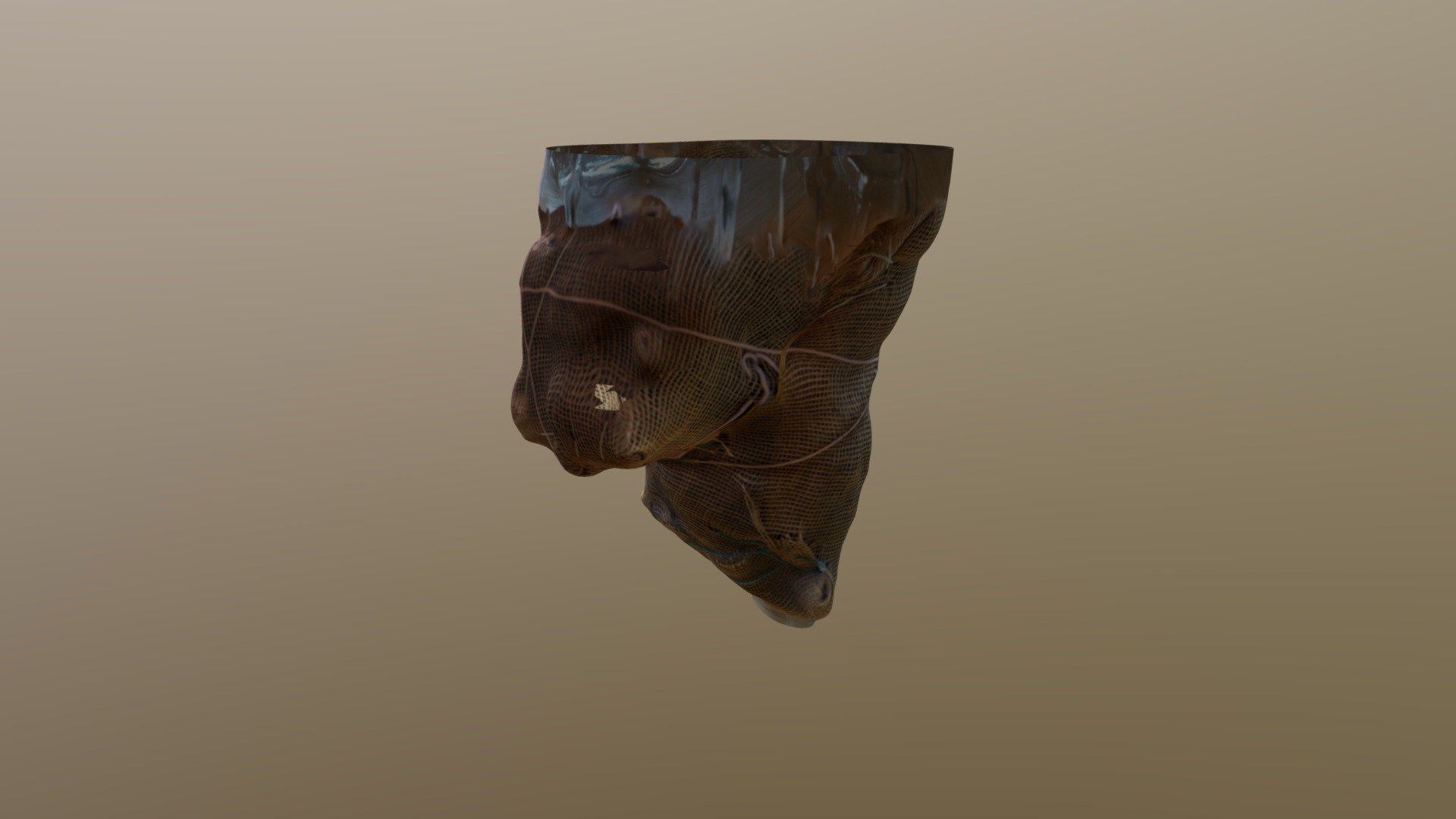 Burlap (Texture)