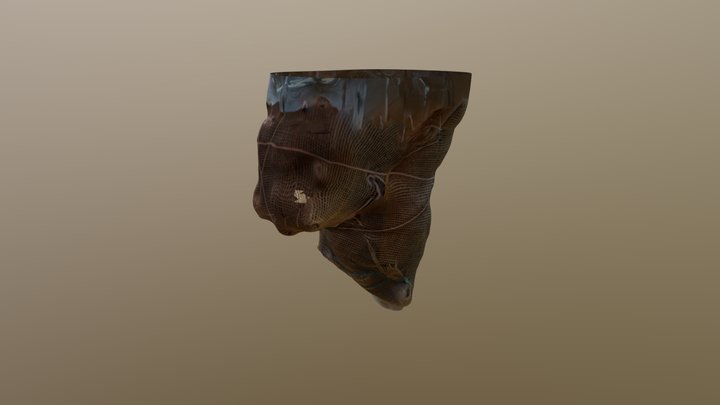 Burlap (Texture) 3D Model
