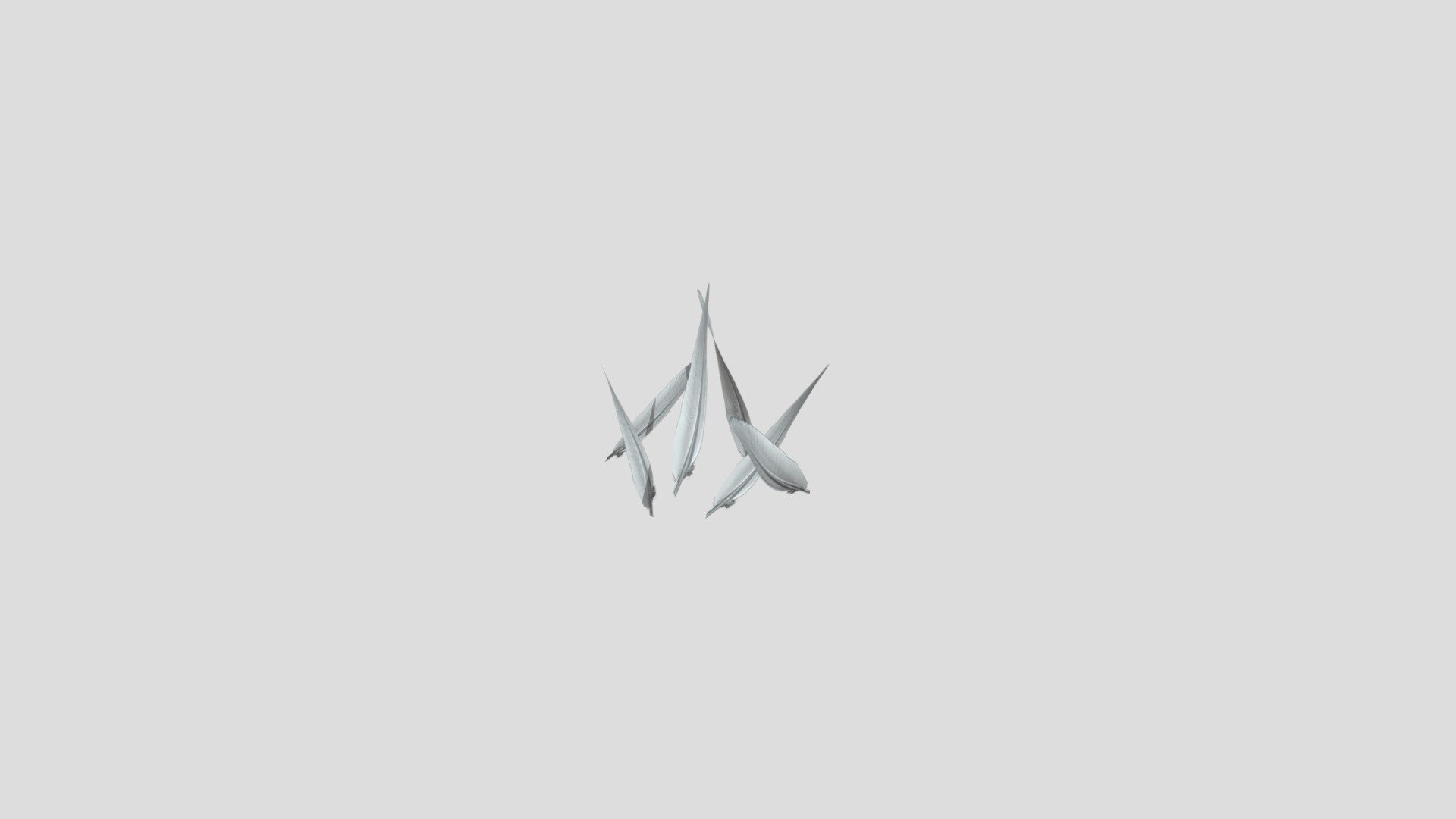 Piume4