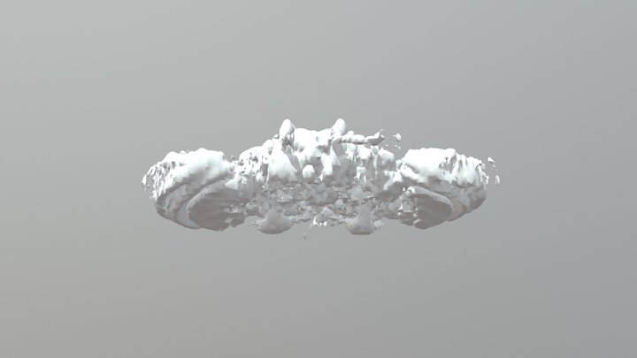 cerebro de suegra 3D Model