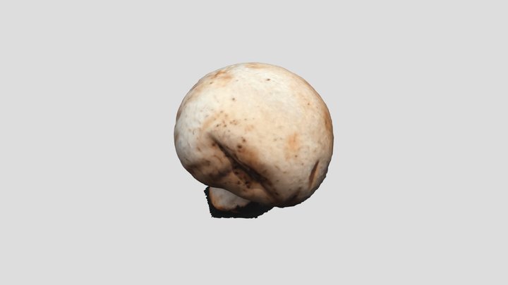 mushroom-4-7-20 3D Model