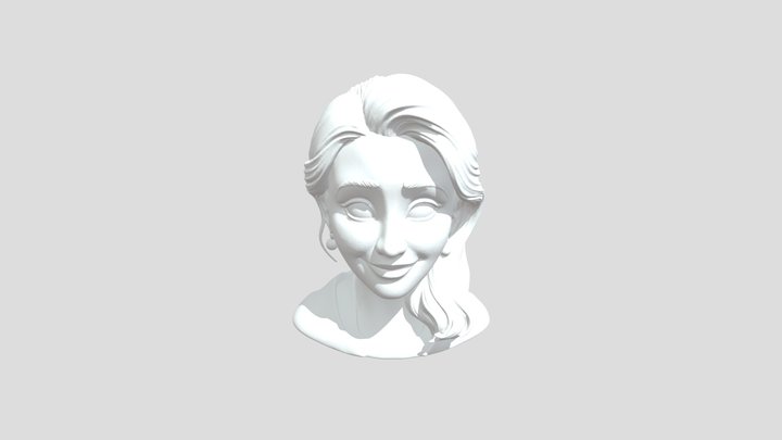 Aycam 3D Model