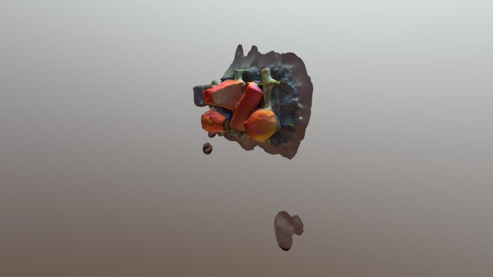 Words 3D Model
