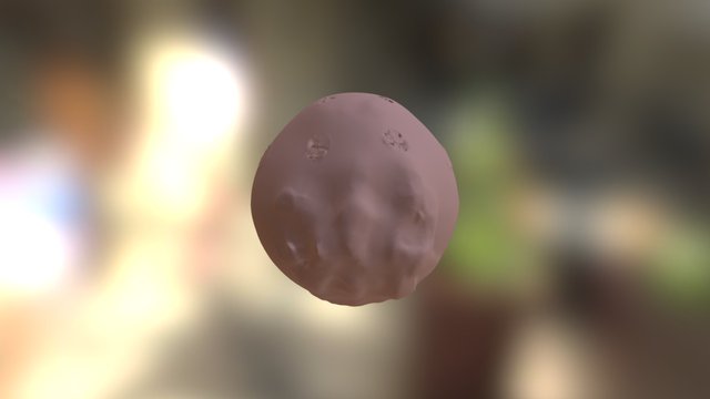 model 3D Model