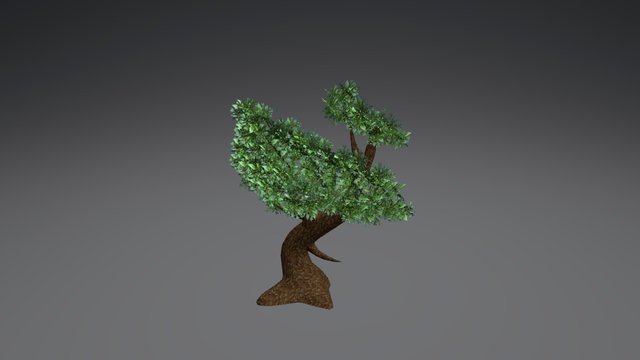 Stylized Tree 02 3D Model