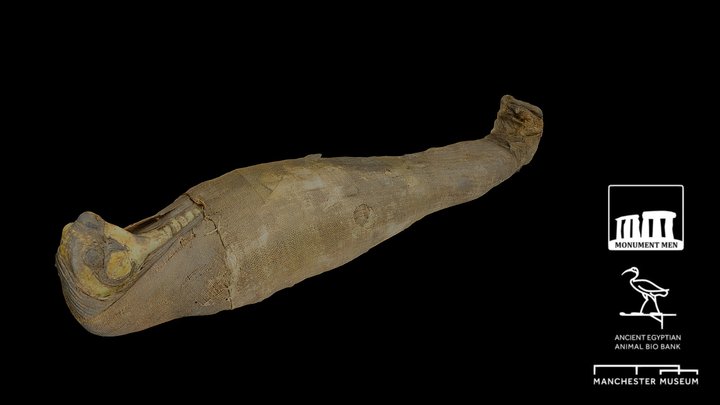 Gilded Falcon Mummy 3D Model