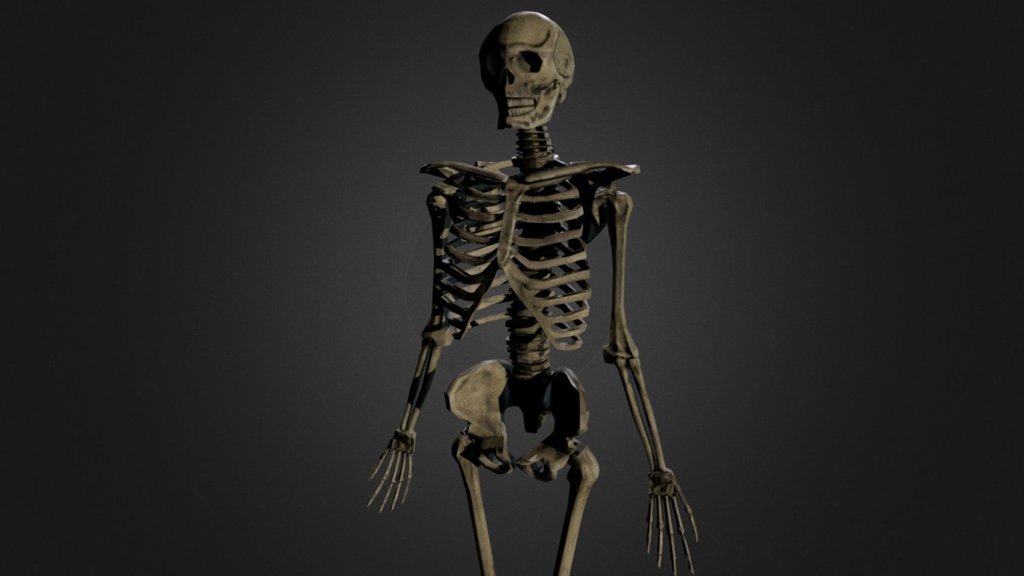 Third person action game - Skeleton level asset