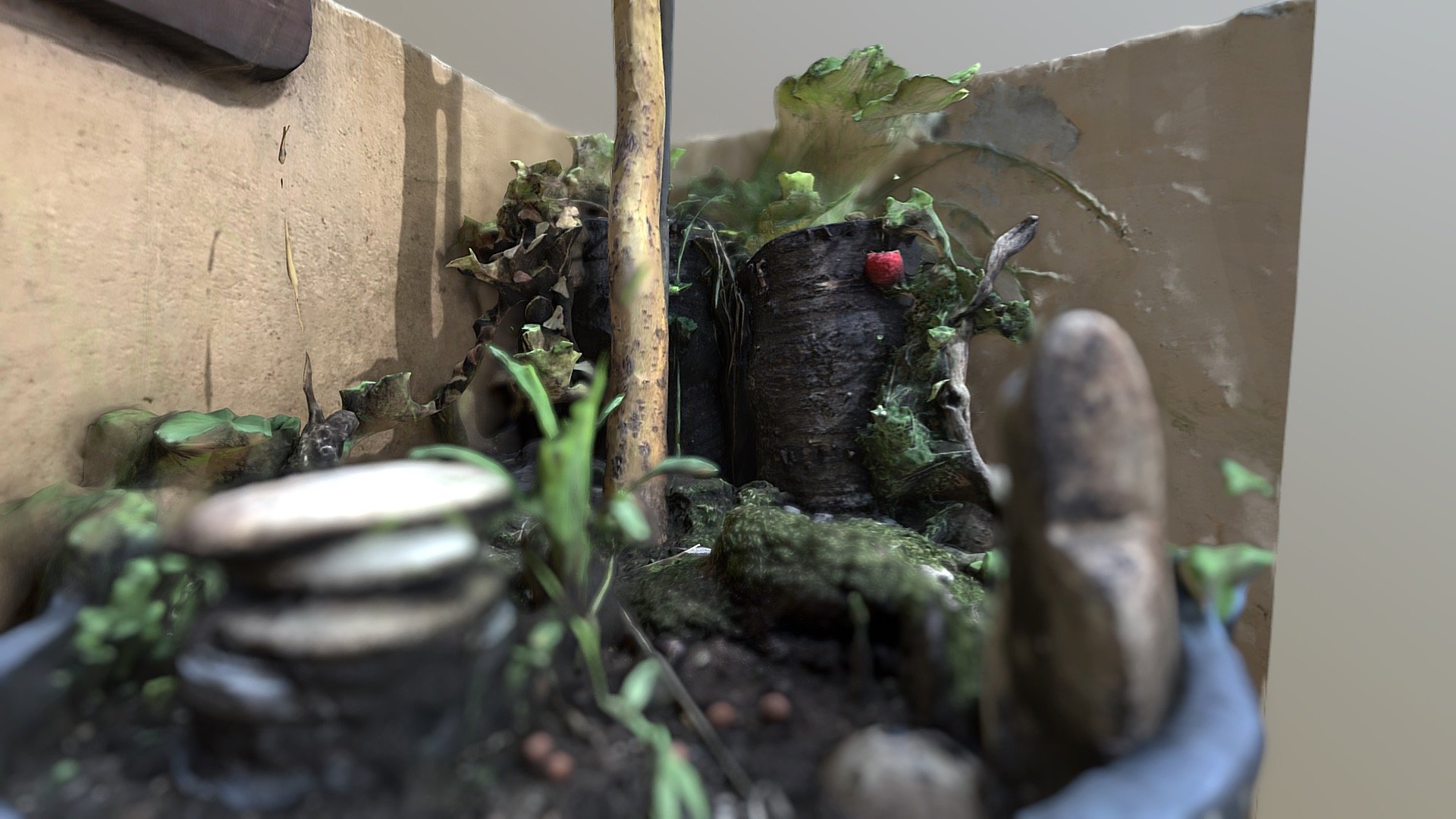 scan test ,balcony garden