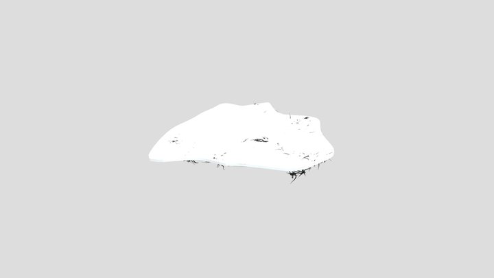 Selena Relief Final Reduced 3D Model