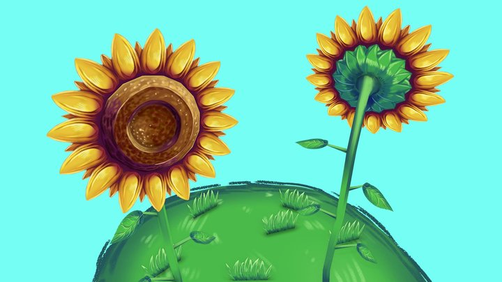 Sunflowers 3D Model