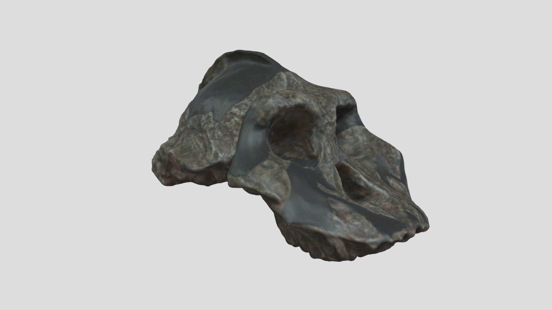 Paranthropus aethiopicus