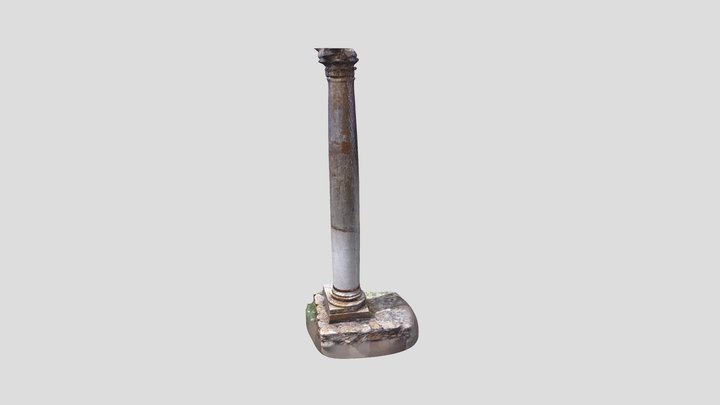 The Column 3D Model