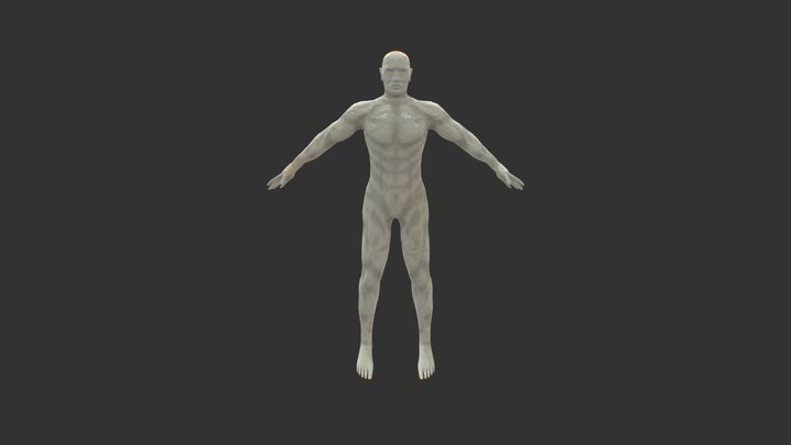 Anatomy practice 3D Model