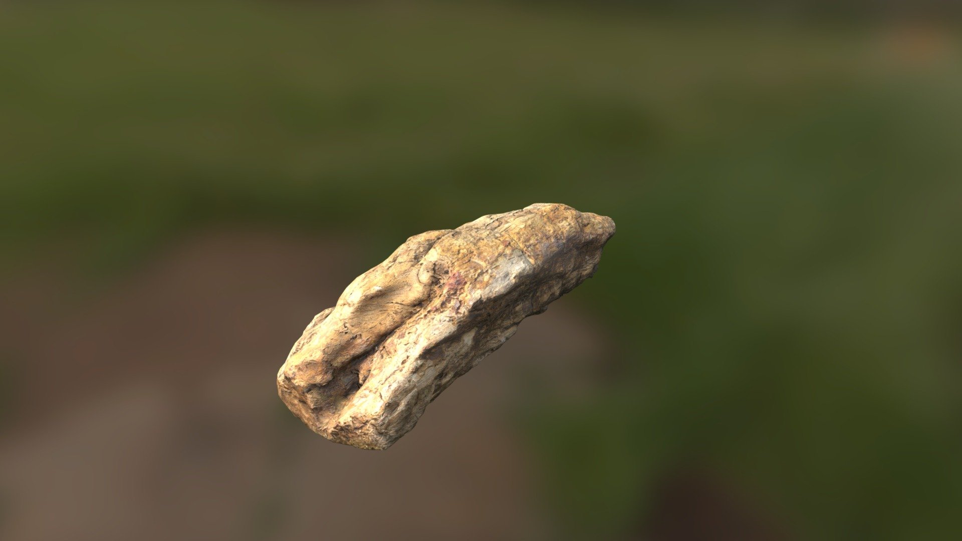 Treetrunk Fosil