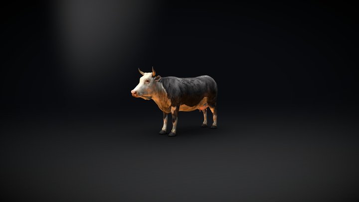 Cow Skin 3D Model
