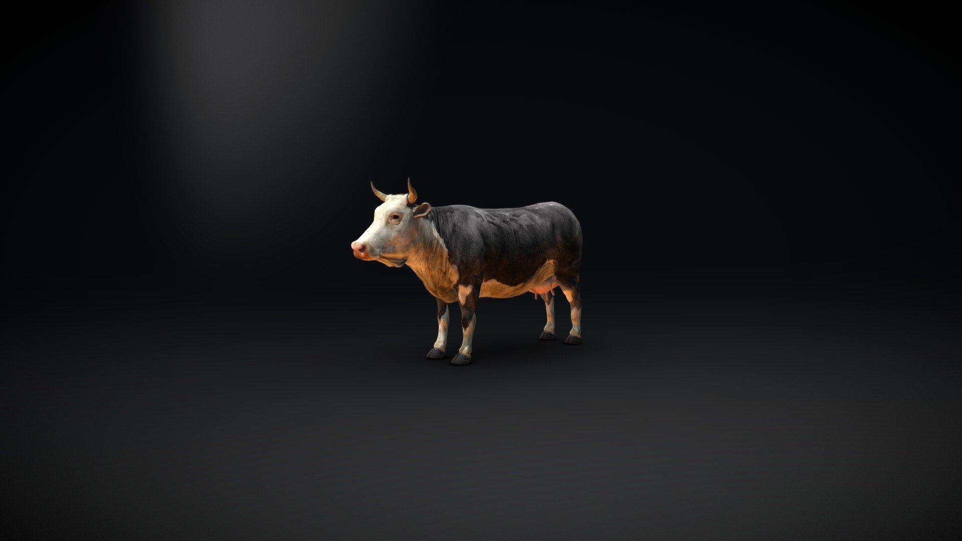 Cow Skin
