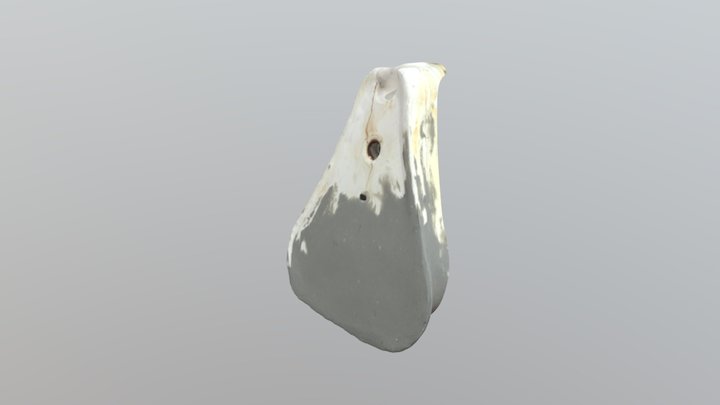 C3: Iron - 2.2 3D Model