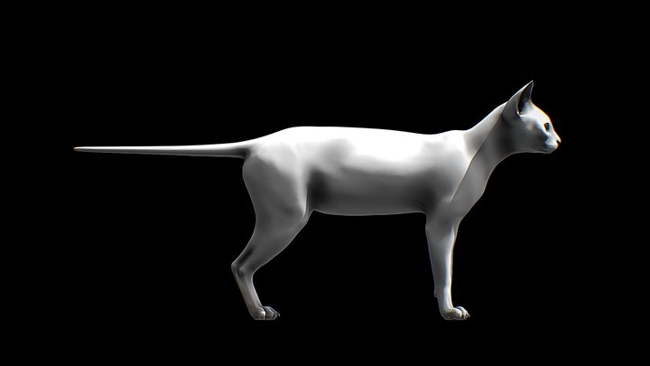 Cat Model