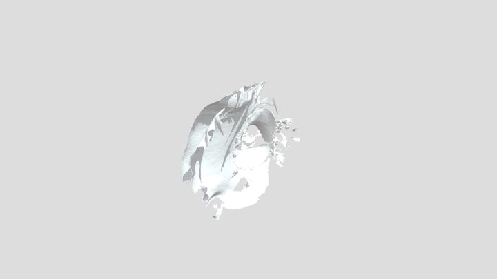 Busto In Artec 3D Model