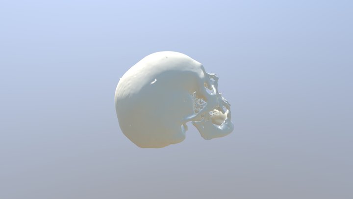 Sketchfab_2018_11_20_09_17_31 3D Model