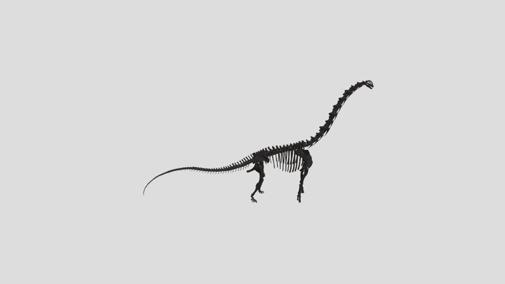 Fukuititan nipponensis (3D Reconstruction) 3D Model