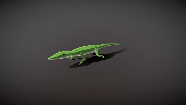 Green anole 3D Model