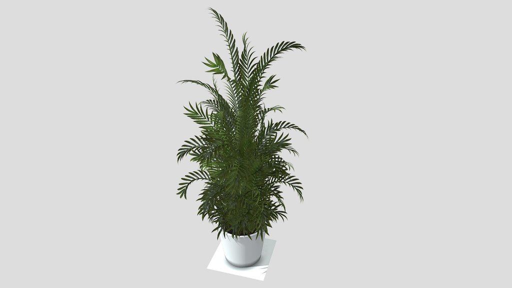 Potted Plant –  Poly Foliage (Game Ready)
