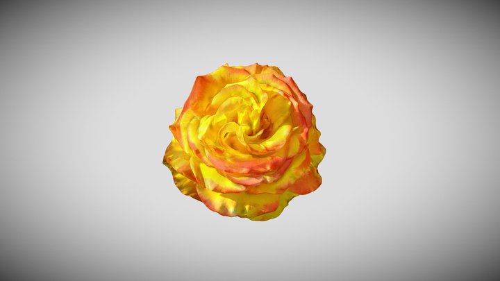 Yellow Rose Kiri masked – Modello 3D gratuito STL