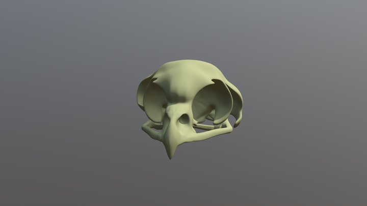 Owlskull Demo - No Eyes 3D Model