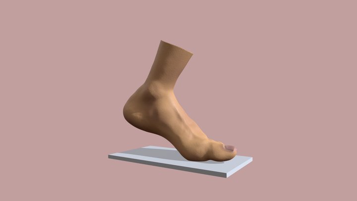 human Leg 3D Model