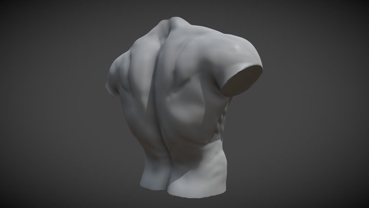 Sculpt January 2018 - 22 Male Torso 3D Model