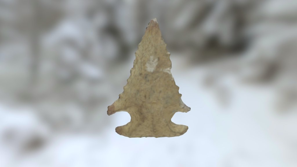 Bolen Bevel Projectile