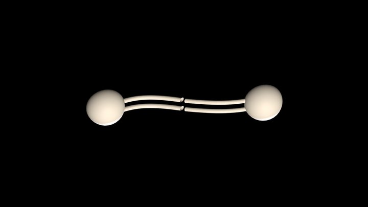 Phospholipid 3D Model