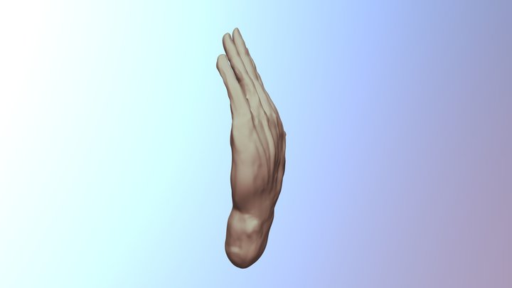 Hand1 3D Model