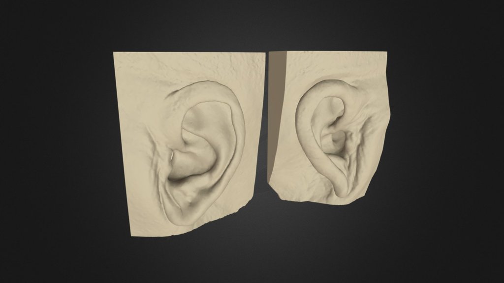 Ear Left & Right