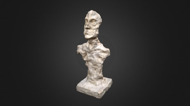 Giaco3D 3D Model